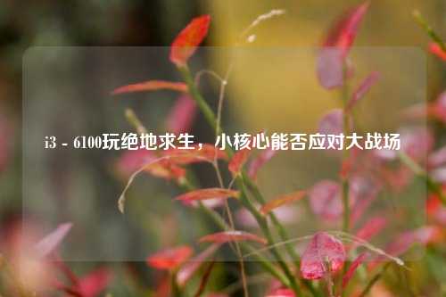 i3 - 6100玩绝地求生，小核心能否应对大战场