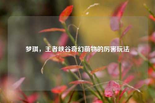 梦琪，王者峡谷奇幻萌物的厉害玩法
