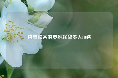 闪耀峡谷的英雄联盟多人ID名