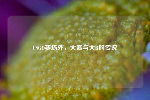 CSGO赛场外，大酱与大R的传说