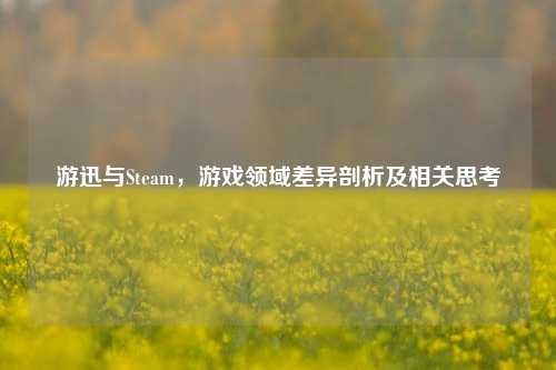 游迅与Steam，游戏领域差异剖析及相关思考