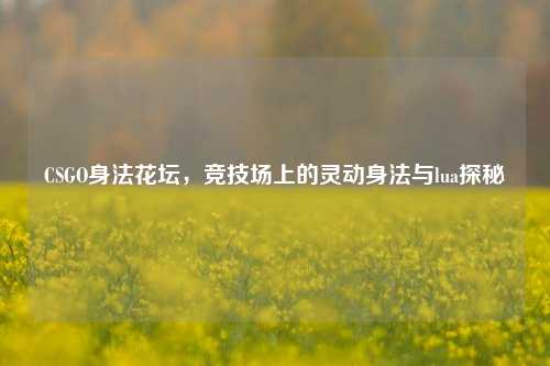 CSGO身法花坛，竞技场上的灵动身法与lua探秘