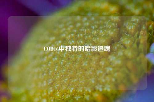 COD16中独特的暗影追魂