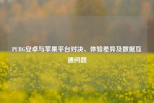 PUBG安卓与苹果平台对决、体验差异及数据互通问题