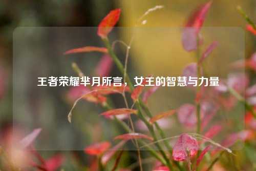 王者荣耀芈月所言，女王的智慧与力量