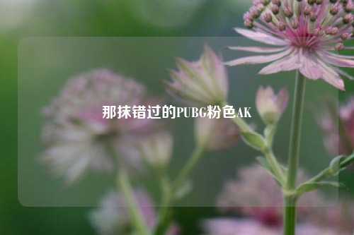 那抹错过的PUBG粉色AK