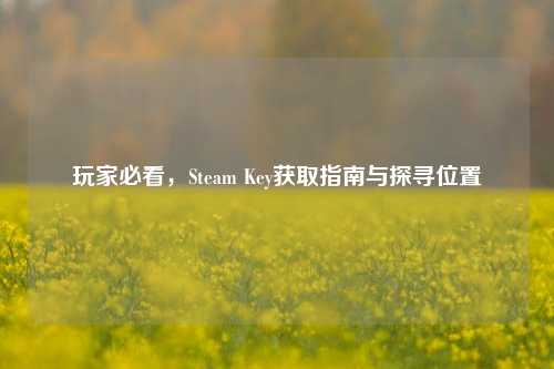 玩家必看，Steam Key获取指南与探寻位置