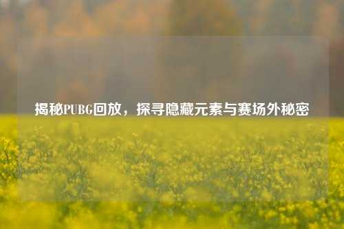 揭秘PUBG回放，探寻隐藏元素与赛场外秘密