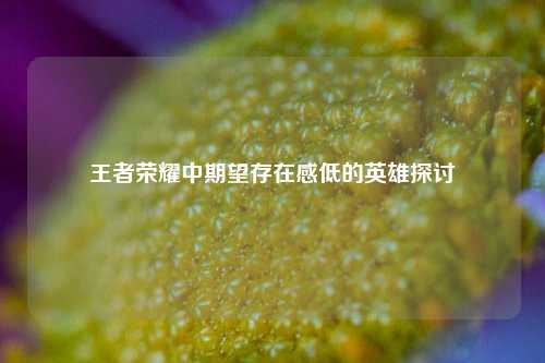 王者荣耀中期望存在感低的英雄探讨