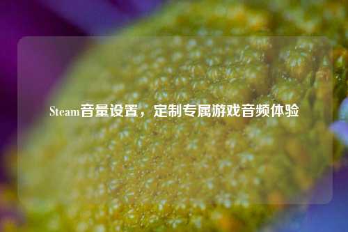 Steam音量设置，定制专属游戏音频体验