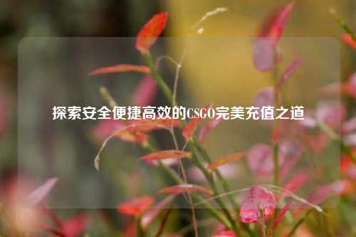 探索安全便捷高效的CSGO完美充值之道