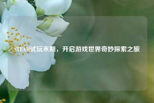 STEAM试玩末期，开启游戏世界奇妙探索之旅