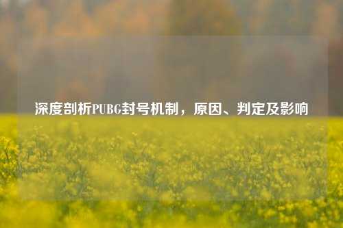 深度剖析PUBG封号机制，原因、判定及影响