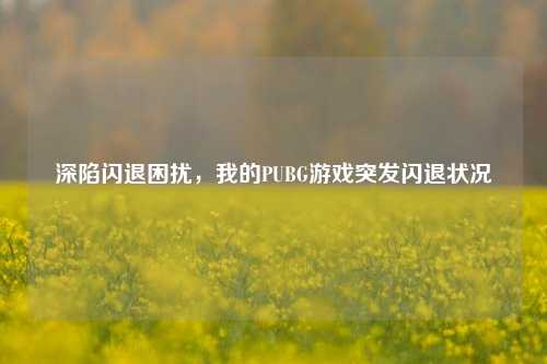 深陷闪退困扰，我的PUBG游戏突发闪退状况