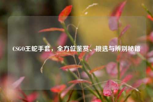CSGO王蛇手套，全方位鉴赏、挑选与辨别秘籍