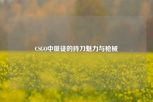 CSGO中匪徒的持刀魅力与枪械