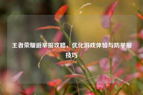 王者荣耀避举报攻略，优化游戏体验与防举报技巧