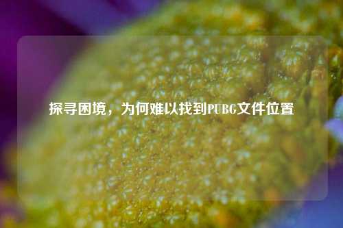 探寻困境，为何难以找到PUBG文件位置