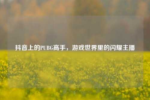 抖音上的PUBG高手，游戏世界里的闪耀主播