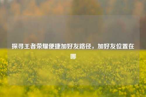 探寻王者荣耀便捷加好友路径，加好友位置在哪