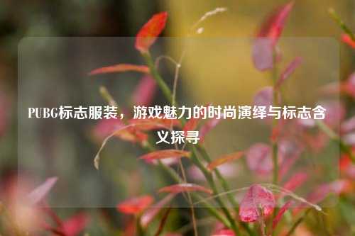 PUBG标志服装，游戏魅力的时尚演绎与标志含义探寻