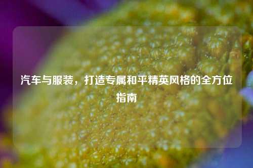 汽车与服装，打造专属和平精英风格的全方位指南