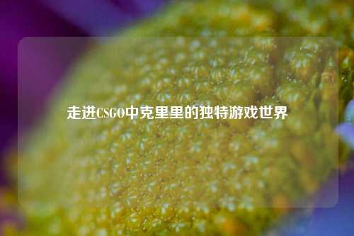 走进CSGO中克里里的独特游戏世界