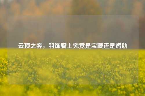 云顶之弈，羽饰骑士究竟是宝藏还是鸡肋