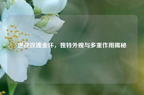 逆战玫瑰金环，独特外观与多重作用揭秘