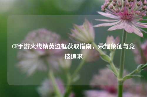 CF手游火线精英边框获取指南，荣耀象征与竞技追求