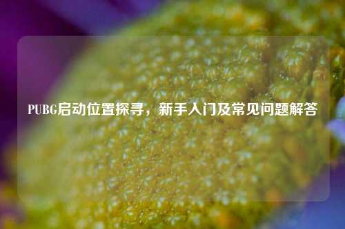 PUBG启动位置探寻，新手入门及常见问题解答