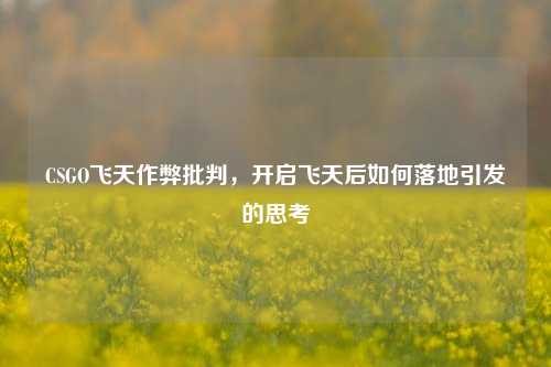 CSGO飞天作弊批判，开启飞天后如何落地引发的思考